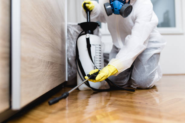 Best Pest Prevention Services  in Pittsburg, CA