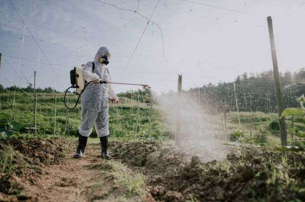 Best Pest Control Cost  in Pittsburg, CA