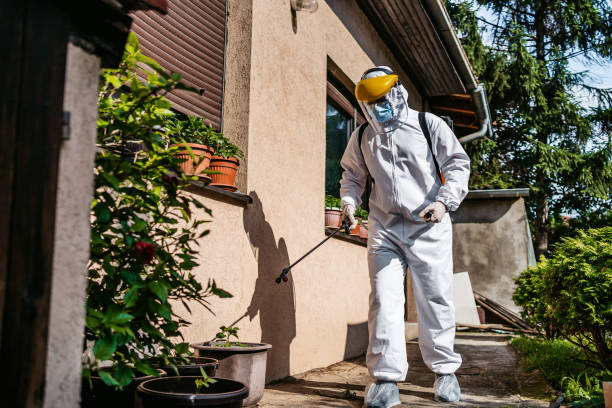 Bird Control in Pittsburg, CA