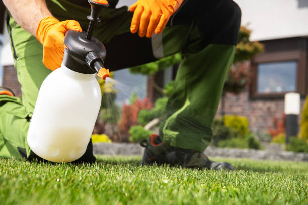 Best Commercial Pest Control Services  in Pittsburg, CA