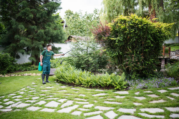 Best Affordable Pest Control Services  in Pittsburg, CA