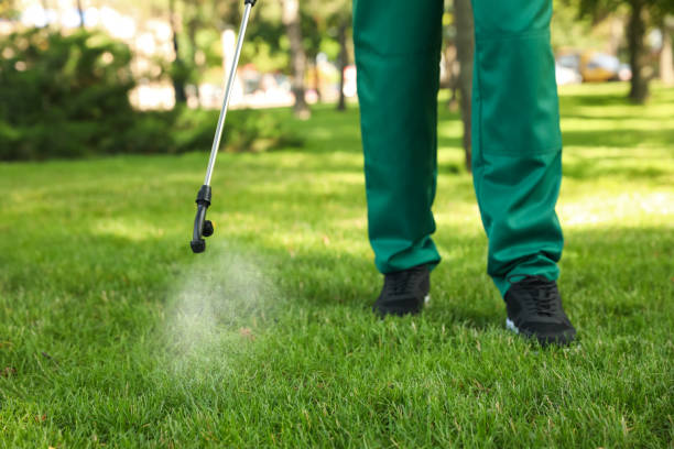 Best Best Pest Control Companies  in Pittsburg, CA