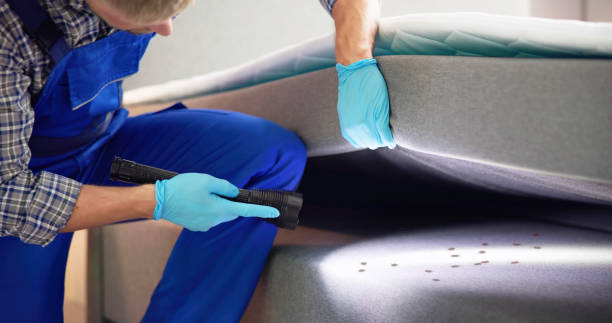 Best Best Pest Control Companies  in Pittsburg, CA