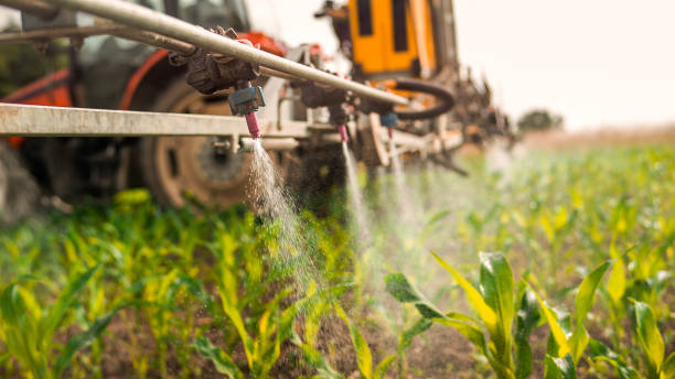 Best Wildlife Control Services  in Pittsburg, CA
